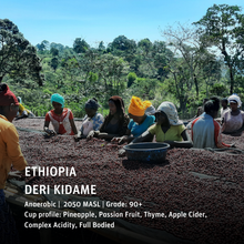 Load image into Gallery viewer, Ethiopia - Deri Kidame 10day Anaerobic - Emirati Coffee Co