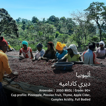 Load image into Gallery viewer, Ethiopia - Deri Kidame 10day Anaerobic - Emirati Coffee Co