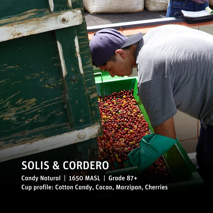 Solis & Cordero - Emirati Coffee Co