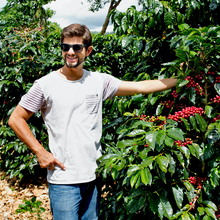 Load image into Gallery viewer, Don Alfonso Aquiares  - Natural - Emirati Coffee Co