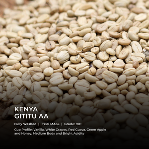 KENYA – GITITU AA - Emirati Coffee Co