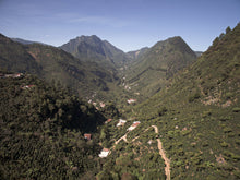 Load image into Gallery viewer, Guatemala  Huehuetenango - Emirati Coffee Co