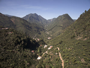 Guatemala  Huehuetenango - Emirati Coffee Co