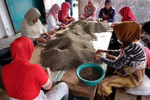 Load image into Gallery viewer, Indonesia  Mount Halu, West Java - Emirati Coffee Co