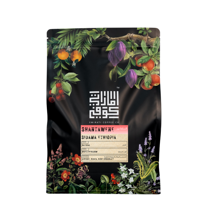 ETHIOPIA SHANTAWENE Natural