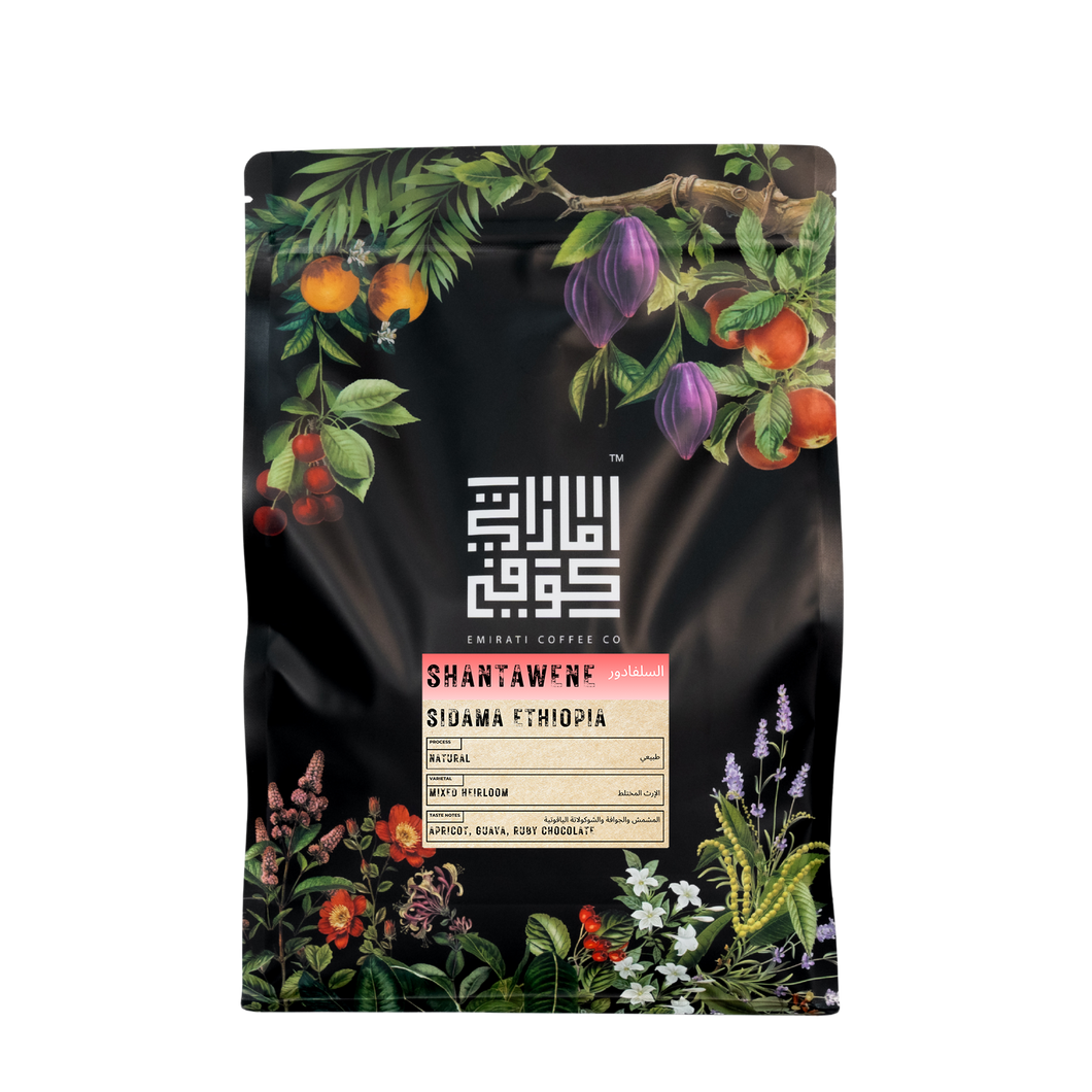 ETHIOPIA SHANTAWENE Natural
