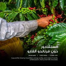 Load image into Gallery viewer, El Salvador - Don Fernando Alfaro - Emirati Coffee Co