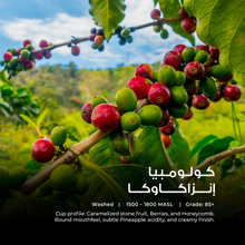Load image into Gallery viewer, Colombia - Inza Cauca - Emirati Coffee Co