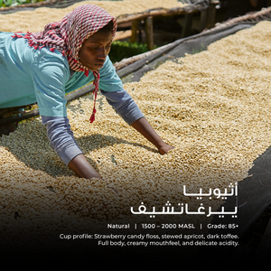 Ethiopia - Yirgacheffe - Emirati Coffee Co