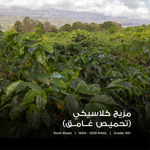 Classic Blend - Emirati Coffee Co