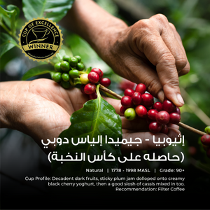 Ethiopia - Gemeda Elias Dube  Cup of Excellence - Emirati Coffee Co