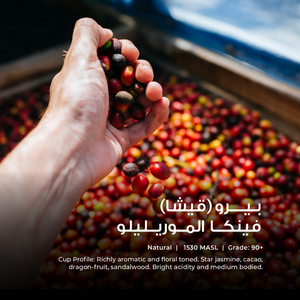 Geisha - Carloman Carranza - Emirati Coffee Co