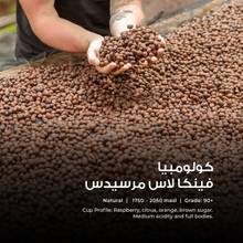 Load image into Gallery viewer, Finca Las Mercedes - Emirati Coffee Co