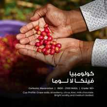 Load image into Gallery viewer, Finca La Loma - Emirati Coffee Co