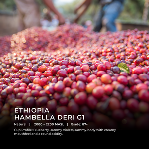 Ethiopia - Hambella Deri G1 - Emirati Coffee Co