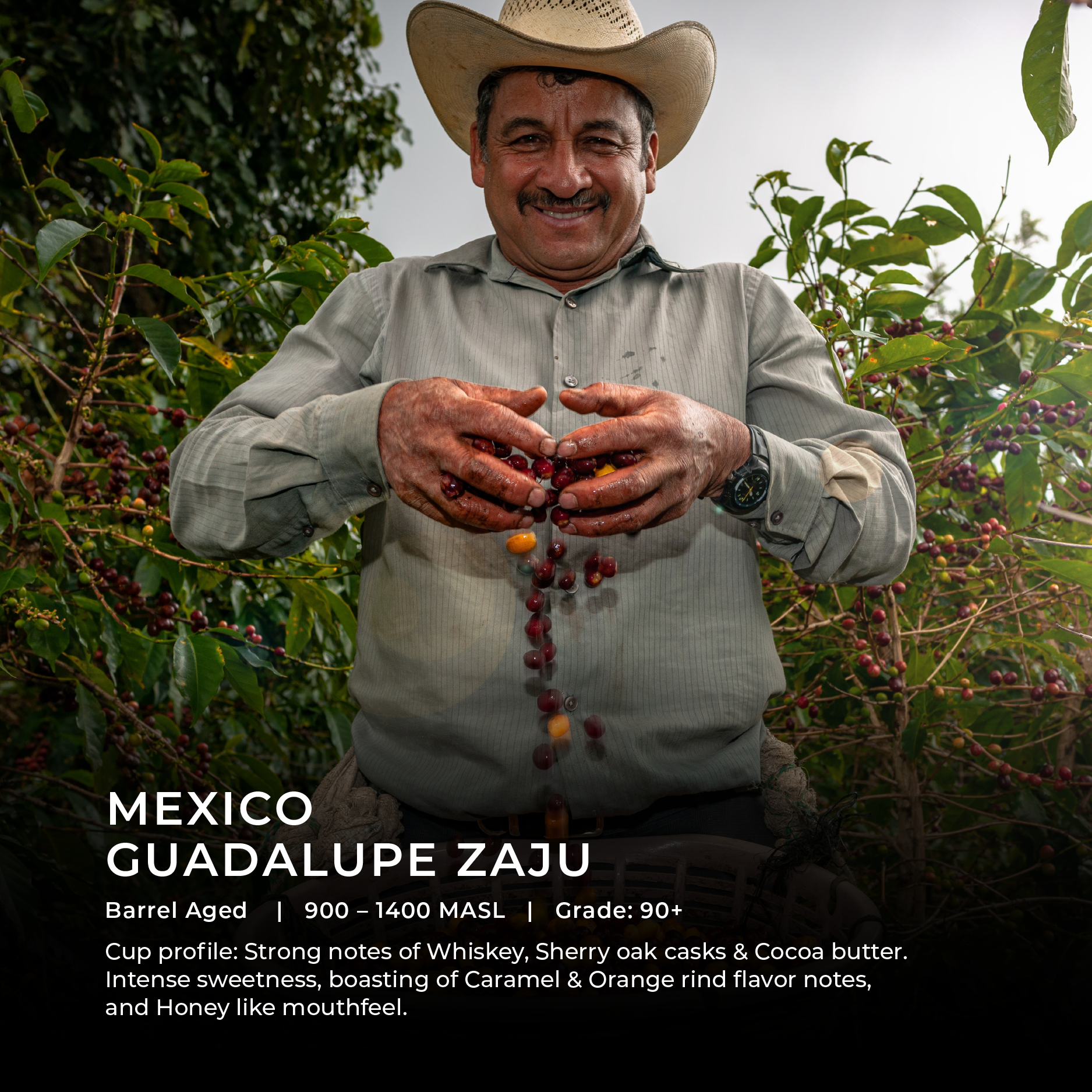 Mexico - Guadalupe Zaju (BARREL AGED)
