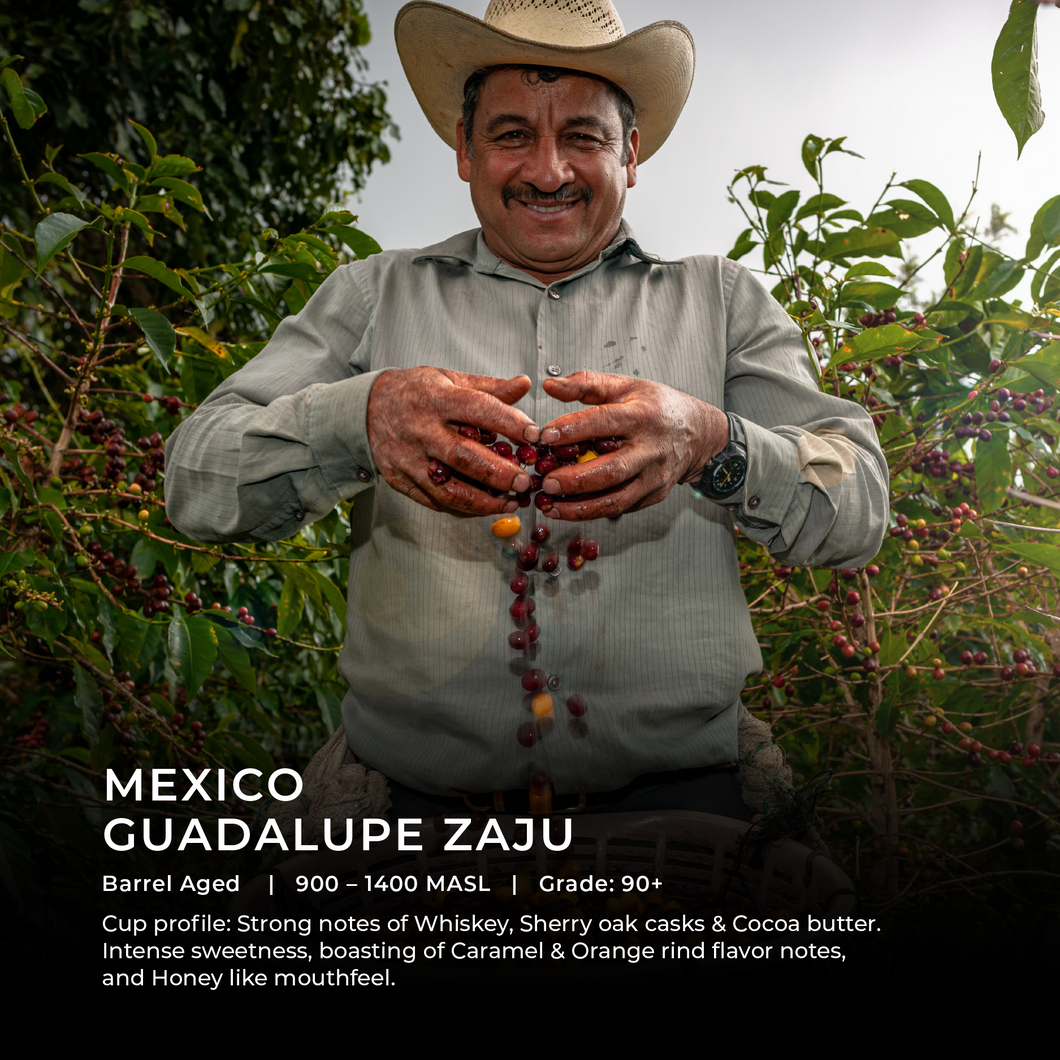 Mexico - Guadalupe Zaju - Emirati Coffee Co