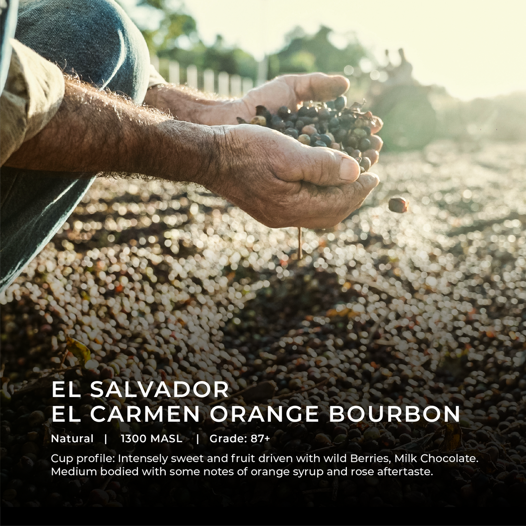 El Salvador - El Carmen Orange Bourbon - Emirati Coffee Co