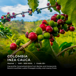 Colombia - Inza Cauca - Emirati Coffee Co