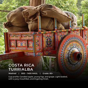 Costa Rica - Turrialba - Emirati Coffee Co