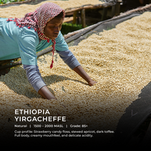 Load image into Gallery viewer, Ethiopia - Yirgacheffe - Emirati Coffee Co