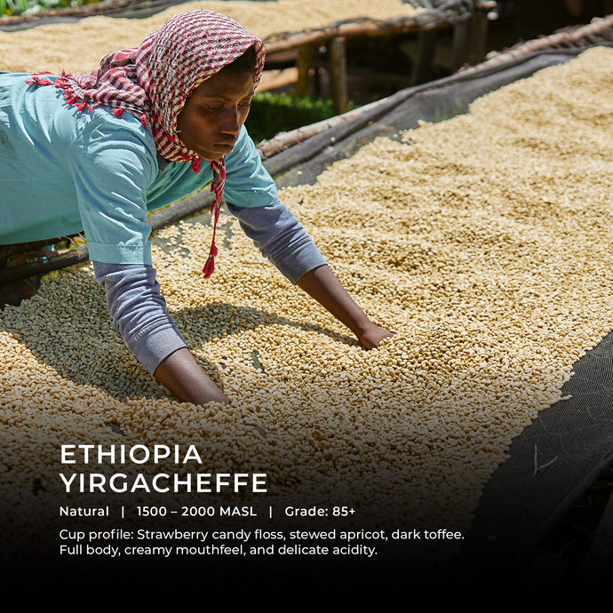 Ethiopia - Yirgacheffe - Emirati Coffee Co