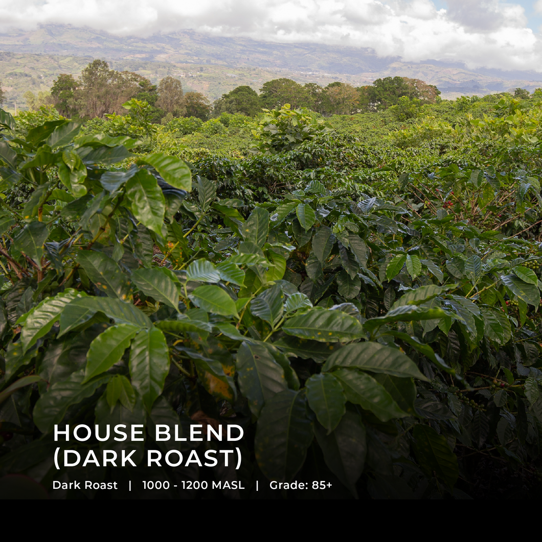 House Blend - Emirati Coffee Co