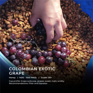 Colombian Exotic – Honey Grape - Emirati Coffee Co