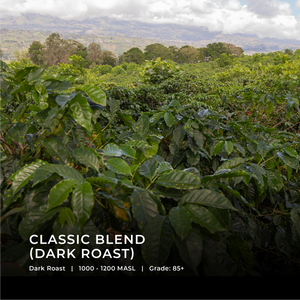 Classic Blend - Emirati Coffee Co
