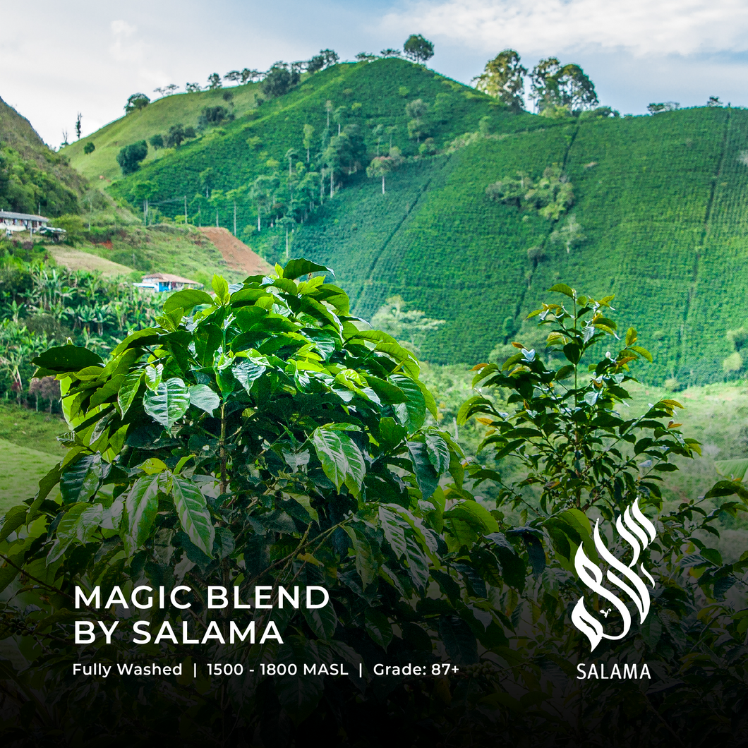 Magic Blend by Salama - Emirati Coffee Co