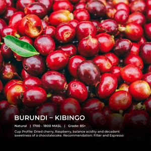 Burundi – Kibingo - Emirati Coffee Co