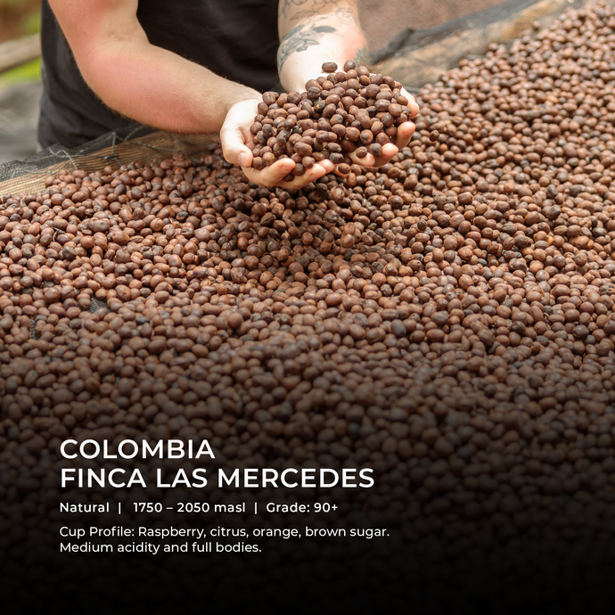 Finca Las Mercedes - Emirati Coffee Co