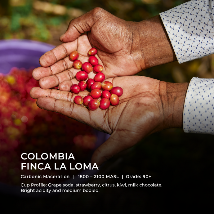 Finca La Loma - Emirati Coffee Co