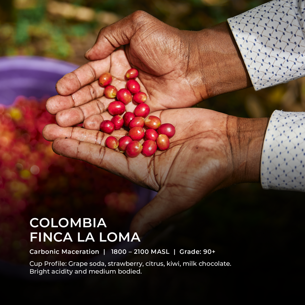 Finca La Loma - Emirati Coffee Co